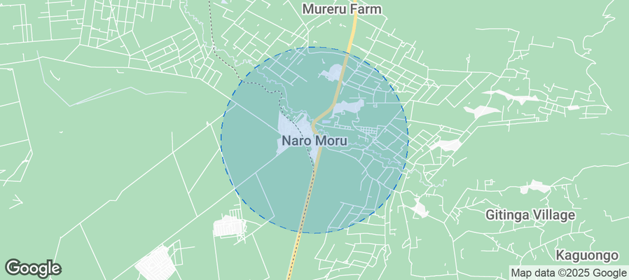 Discover Naro Moru Airbnb Analytics
